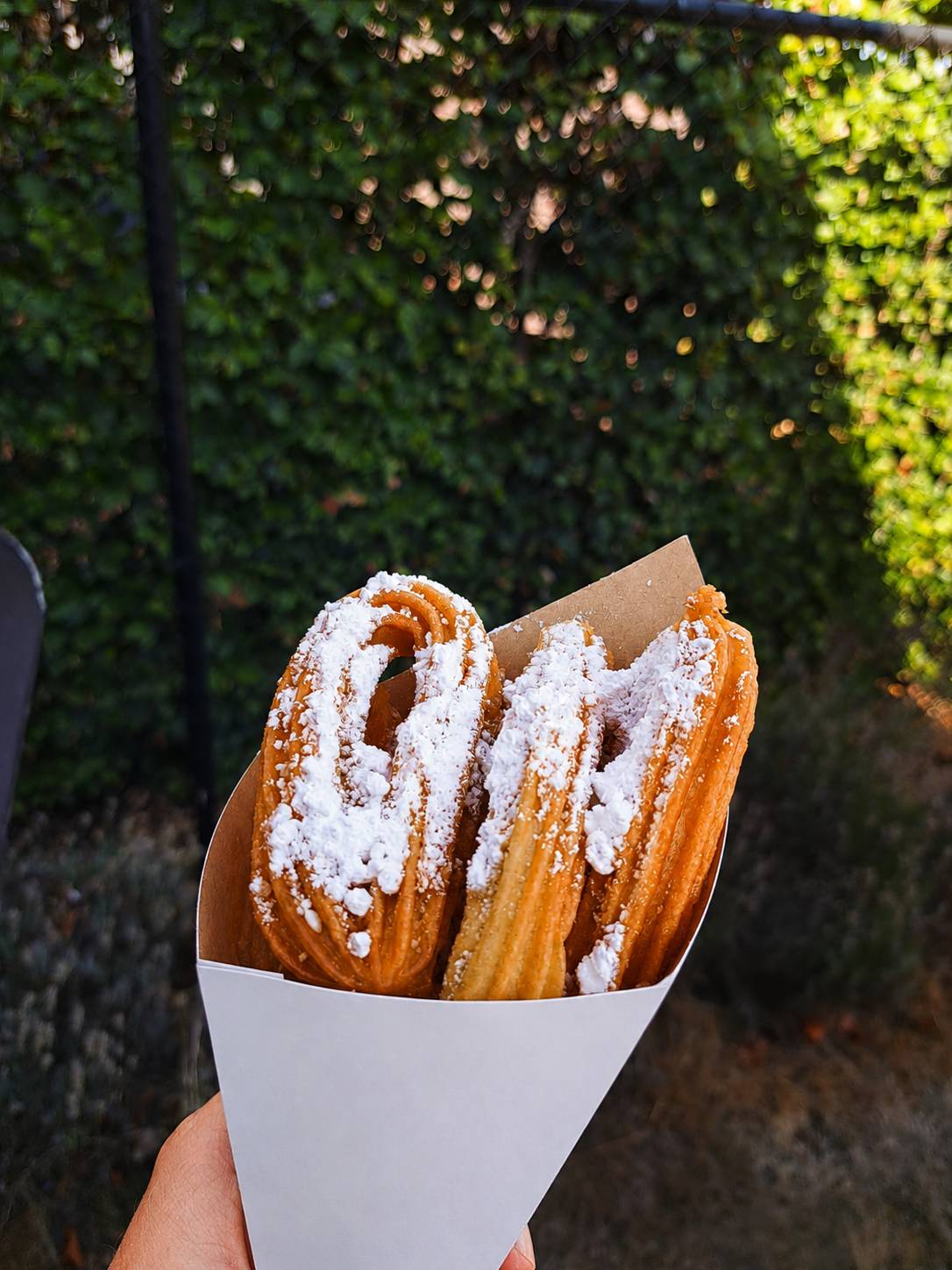 Hand houdt churros met poedersuiker vast